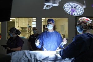 AVES veterinary surgery