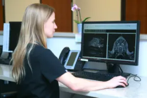 MRI Scan for Pets being reviewed by a Veterinary Neurologist