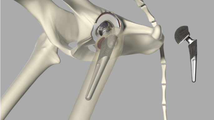 Canine Total Hip Replacement