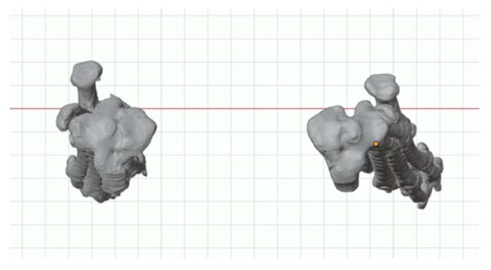 Close-up 3D CT reconstruction of the dog's femoral head and pelvic region, showcasing the orientation and deformity of the joint articulation