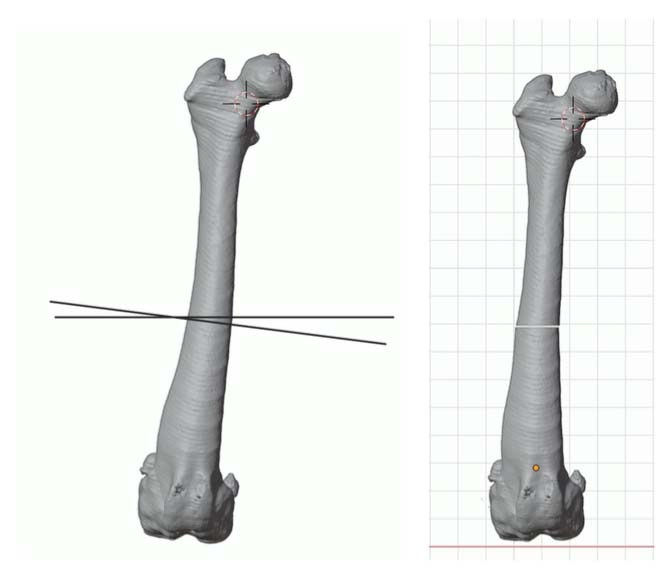 Pre-operative CT view of the dog's femur with geometric guidelines drawn to measure and plan corrective osteotomy for angular deformity.